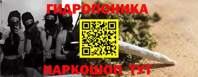 дмт Будённовск