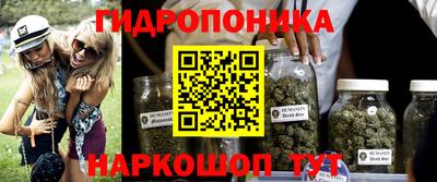 дмт Будённовск
